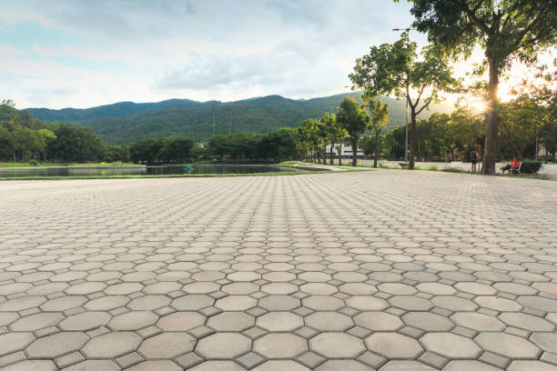 Best Professional Driveway Pavers  in Dawson Springs, KY